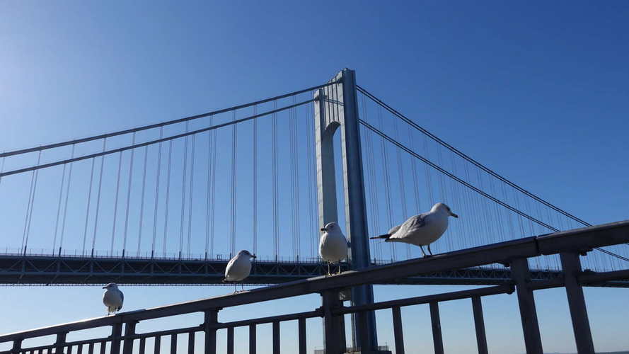 NYC_2024-02-05 09-54-48_RX_07380